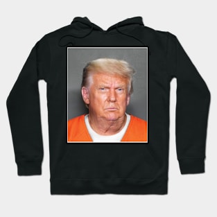 Donald Trump Mugshot Hoodie